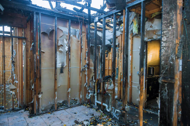 Professional Fire Damage Removal technician working in Hastings, MN